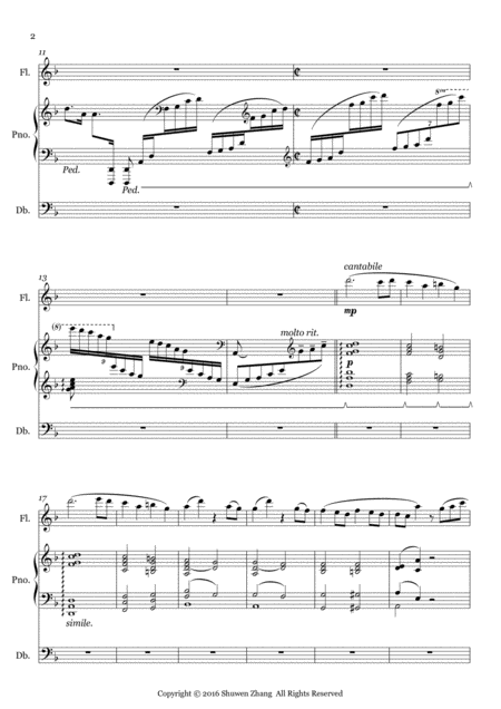 Trio Fantasia For Flute Piano And Double Bass Page 2