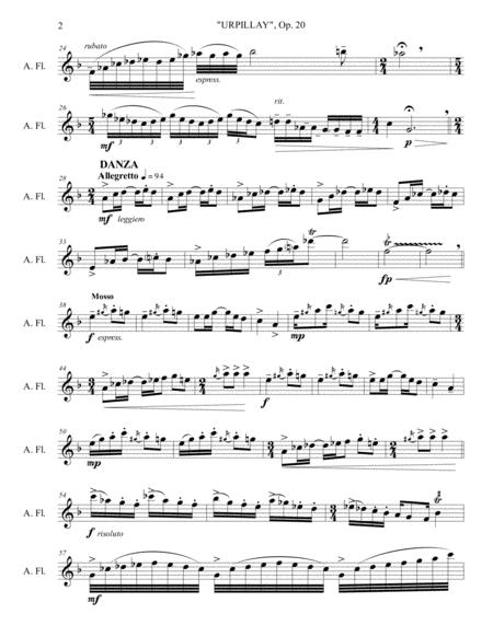 Urpillay Op 20 For Alto Flute Solo Page 2