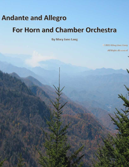 Andante And Allegro For Horn And Chamber Orchestra Sheet Music