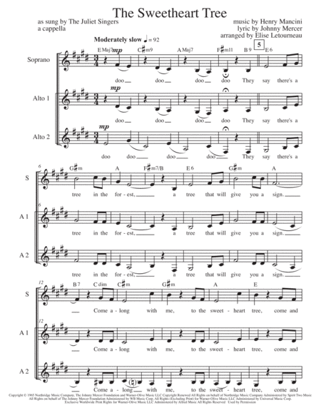 Ave Maria For 2 Part Choir Soprano Tenor English Lyrics High Key Organ Accompaniment Sheet Music