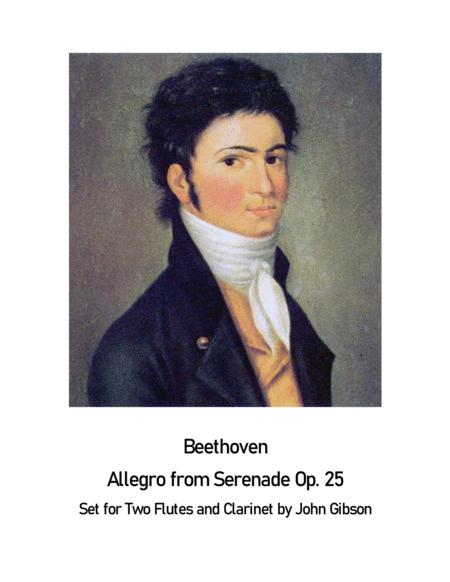 Free Sheet Music Beethoven Serenade Allegro Set For 2 Flutes And Clarinet