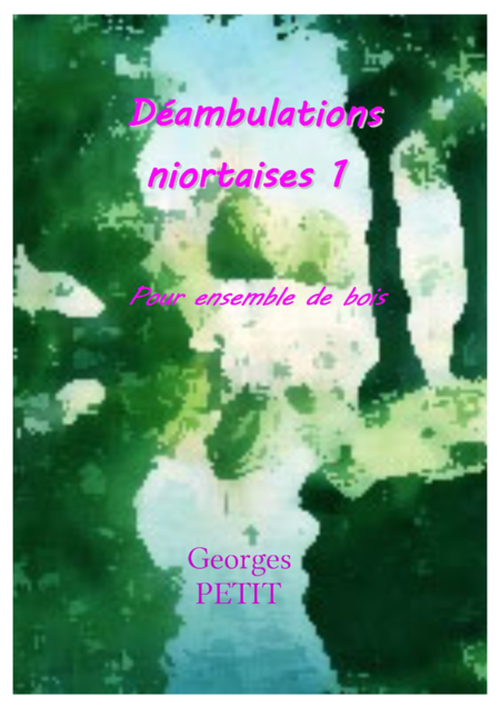 Deambulations Niortaises 1 Sheet Music