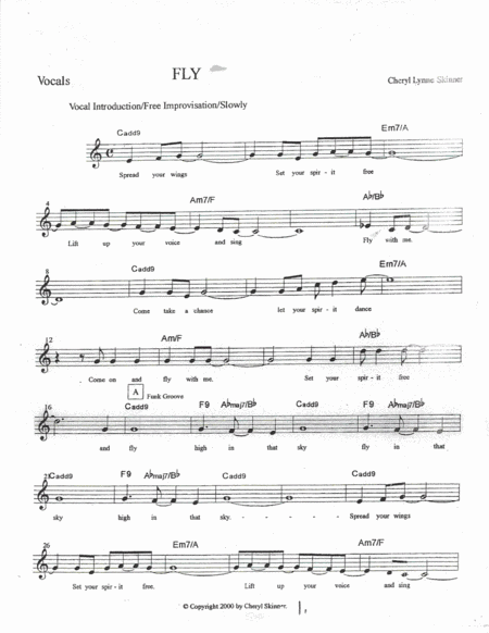 Fly Vocal Leadsheet Sheet Music