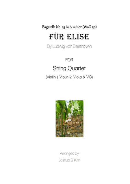 Fur Elise For String Quartet Woo 59 Sheet Music