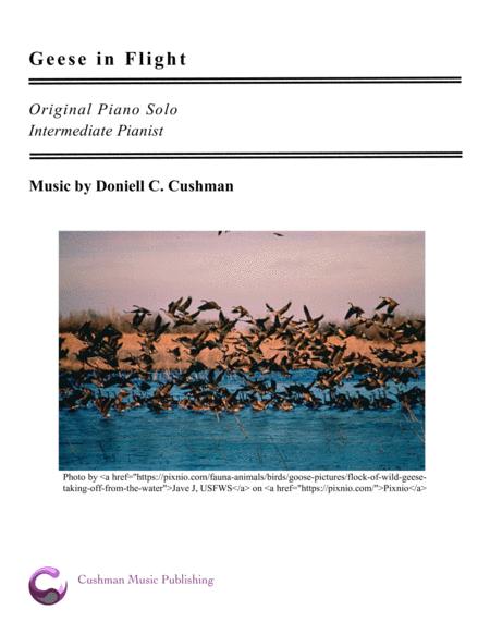 Free Sheet Music Geese In Flight