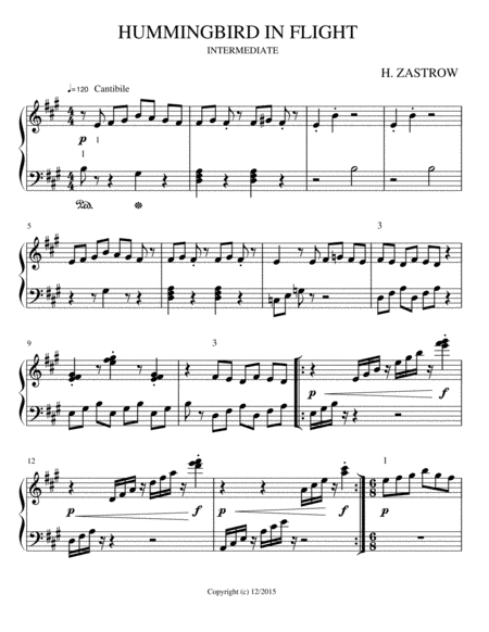 Hummingbird In Flight Sheet Music