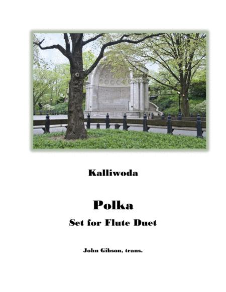 Polka By Kalliwoda Set For Flute Duet Sheet Music