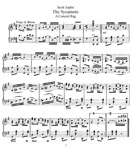 Free Sheet Music Scott Joplin The Sycamore Original Version