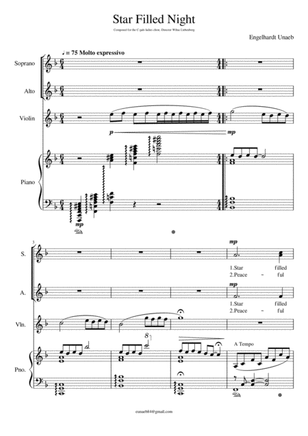 Star Filled Night Sheet Music