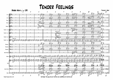 Tender Feelings Bossa Nova Samba Big Band Sheet Music