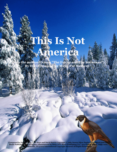 This Is Not America Sheet Music