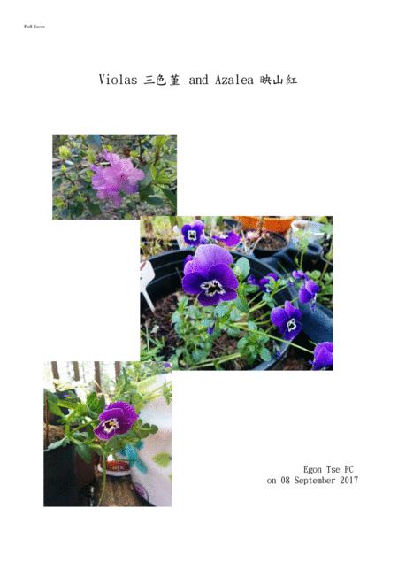 Violas And Azalea Sheet Music