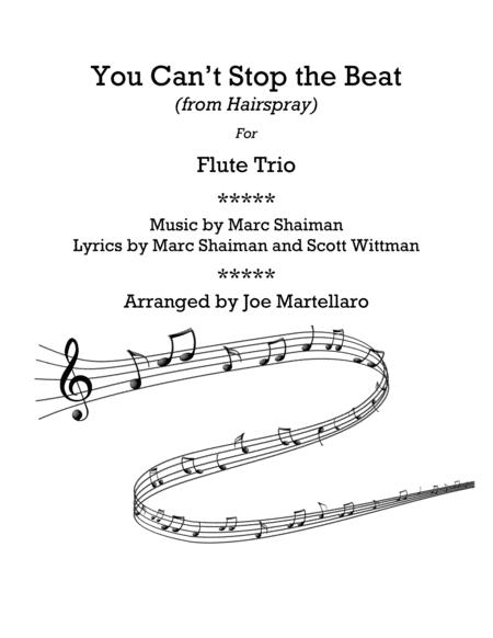 You Cant Stop The Beat For Flute Trio Sheet Music