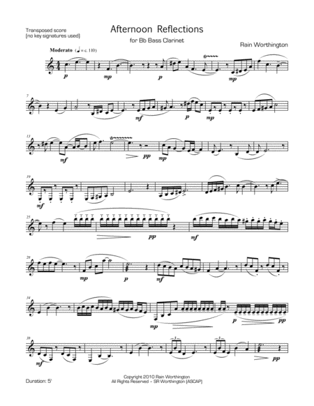 Afternoon Reflections For Bass Clarinet Page 2