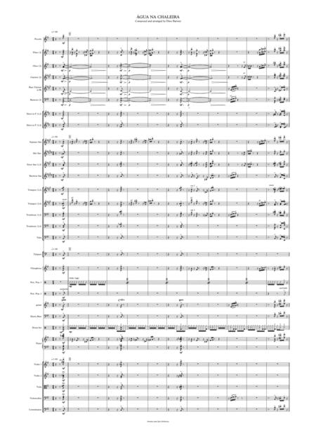 Agua Na Chaleira Orchestral Choro Page 2