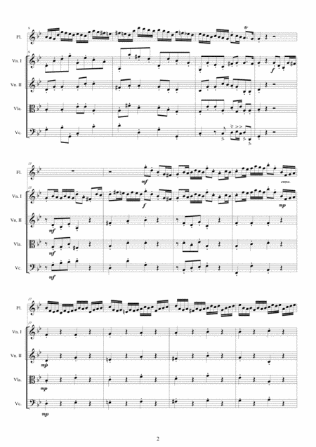 Albinoni Concerto No 11 To 5 In G Minor Op 5 For Flute And String Quartet Page 2