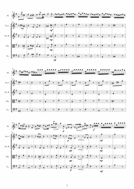 Albinoni Concerto No 9 To 5 In E Minor Op 5 For Flute And String Quartet Page 2