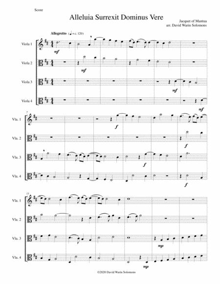 Alleluia Surrexit Dominus Easter Anthem Arranged For 4 Violas Page 2