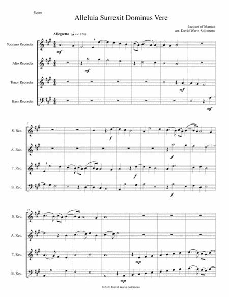 Alleluia Surrexit Dominus Easter Anthem Arranged For Recorder Quartet Page 2