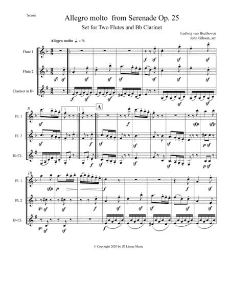 Beethoven Serenade Allegro Set For 2 Flutes And Clarinet Page 2