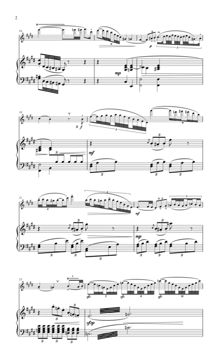 Boehm The German Variations For Flute Piano Page 2