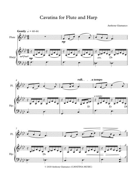 Cavatina For Flute And Harp Page 2