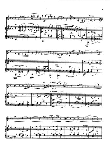 Chopin Variations On A Ukrainian Dumka For Violin And Piano Complete Version Page 2