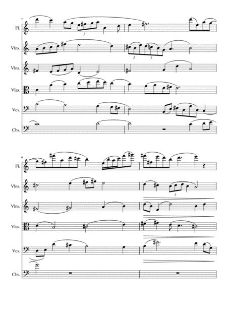Concerto For Flute String Orchestra Page 2