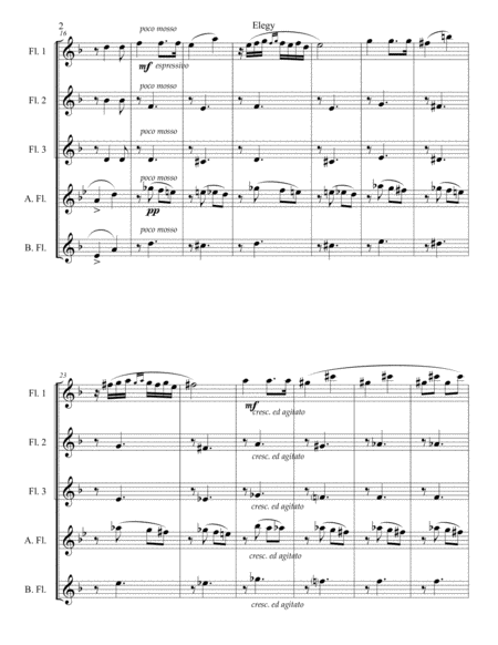 Elegy For Flutes Page 2