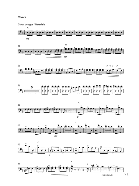 Iii Vivace From Fluvial Sonata In D Minor Page 2