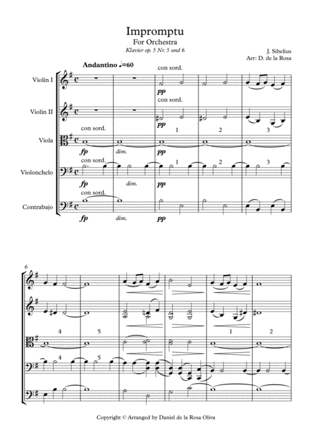 Impromptu Fr Streichorchester J Sibelius For Strings Full Score And Parts Page 2