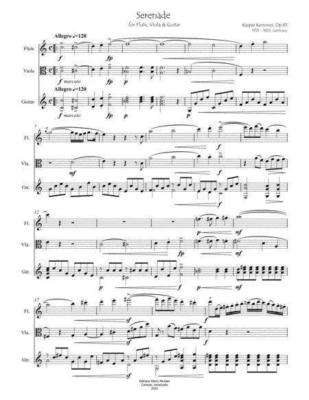 Kummer Serenade For Flute Viola Guitar Page 2