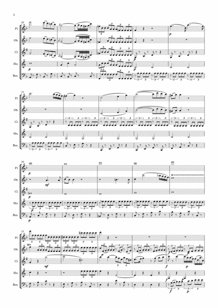 Mozart Piano Concerto No 21 In C Elvira Madigan K467 Mvt Ii Andante Wind Quintet Page 2