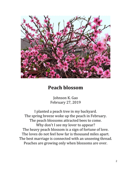 Peach Blossom Waltz Page 2