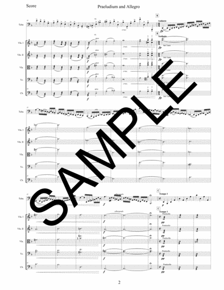 Praeludium Allegro For Solo Tuba And String Orchestra Page 2