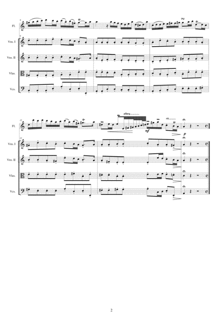 Sarro Concerto In A Minor For Flute And Strings Page 2