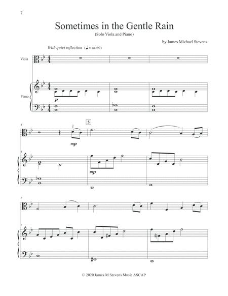 Sometimes In The Gentle Rain Viola Piano Page 2