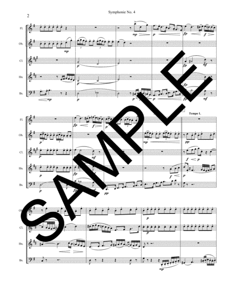 Symphony No 4 1st Movement For Woodwind Quintet With Optional Percussion Page 2