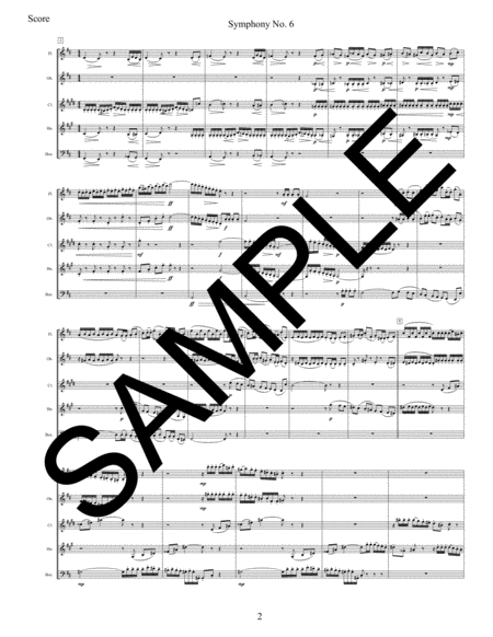 Symphony No 6 1st Movement For Woodwind Quintet Page 2