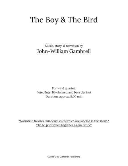 The Boy The Bird Page 2