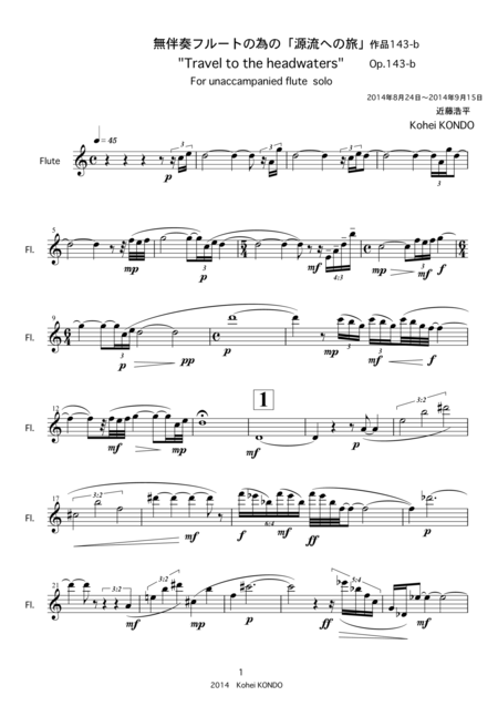 Travel To The Headwaters For Flute Solo Op 143b Page 2