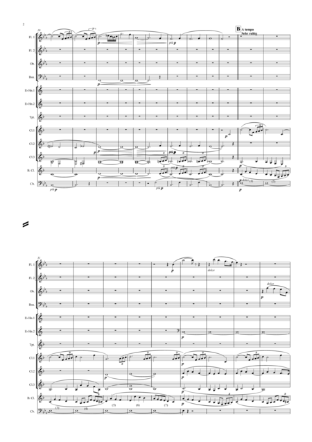 Wagner Siegfried Idyll Arranged Symphonic Wind Ensemble Page 2