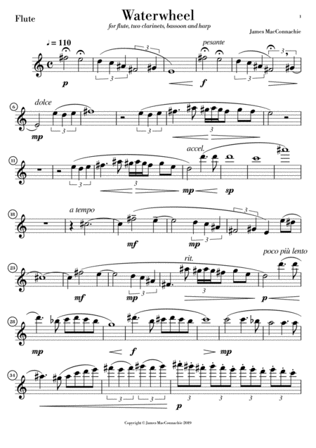 Waterwheel Parts For Woodwind And Harp Page 2