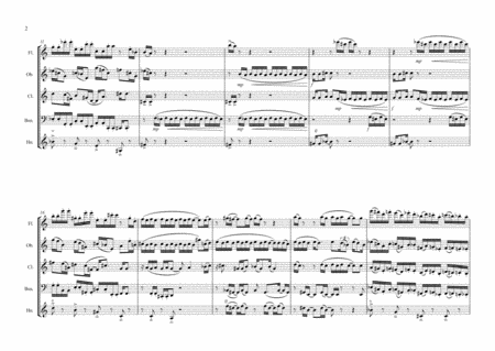 Yazzir Ii For Wind Quintet Page 2