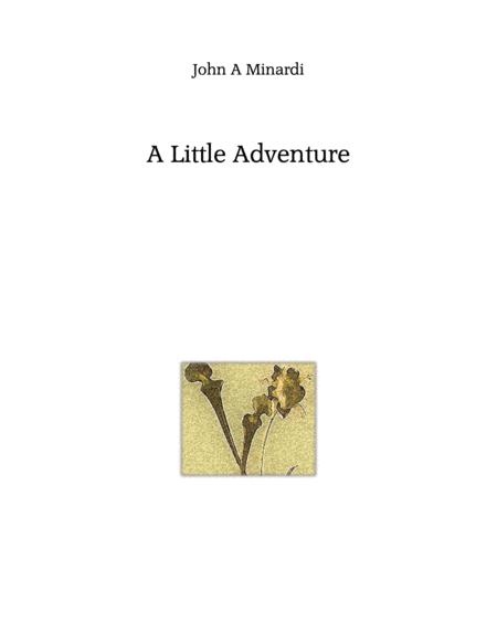 A Little Adventure Sheet Music