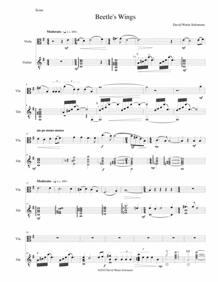 Beetles Wings For Viola And Guitar Sheet Music