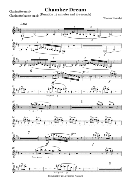 Chamber Dream Clarinet And Bass Clarinet Part Sheet Music