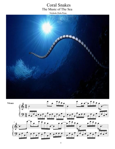 Free Sheet Music Coral Snakes The Music Of The Sea