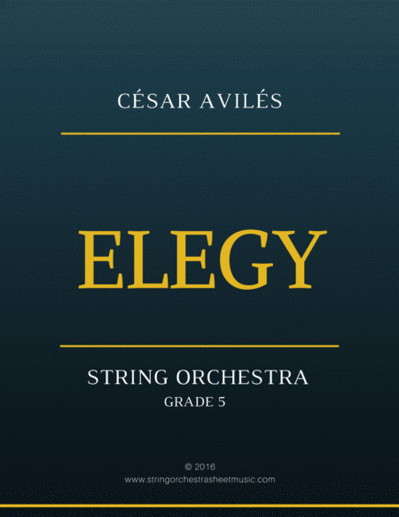 Elegy For String Orchestra Sheet Music