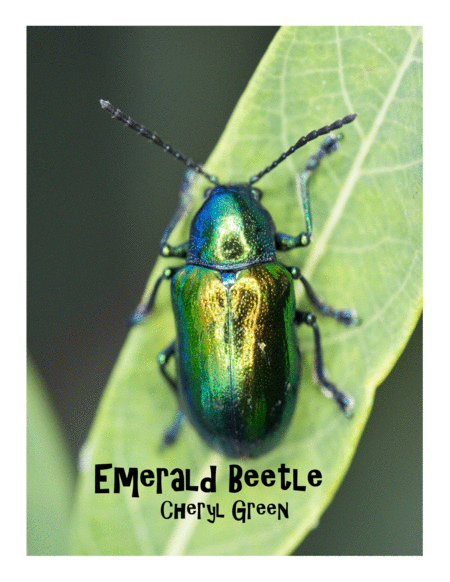 Emerald Beetle Sheet Music